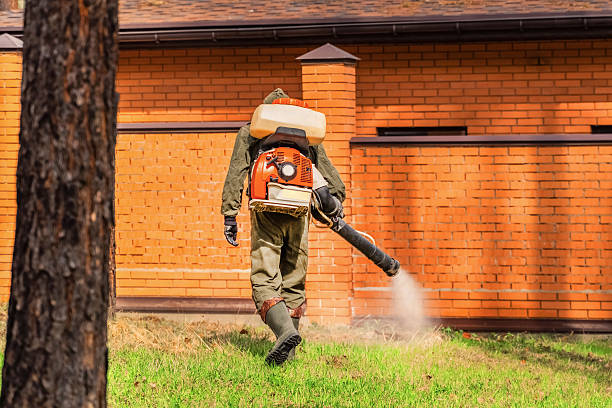 Bed Bug Clearance Verification and Documentation in Vernon